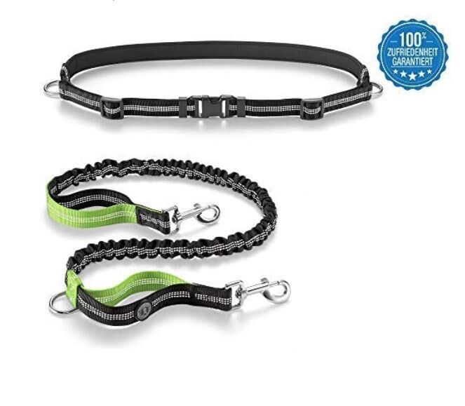 Leine, Zubehör, Gürtel