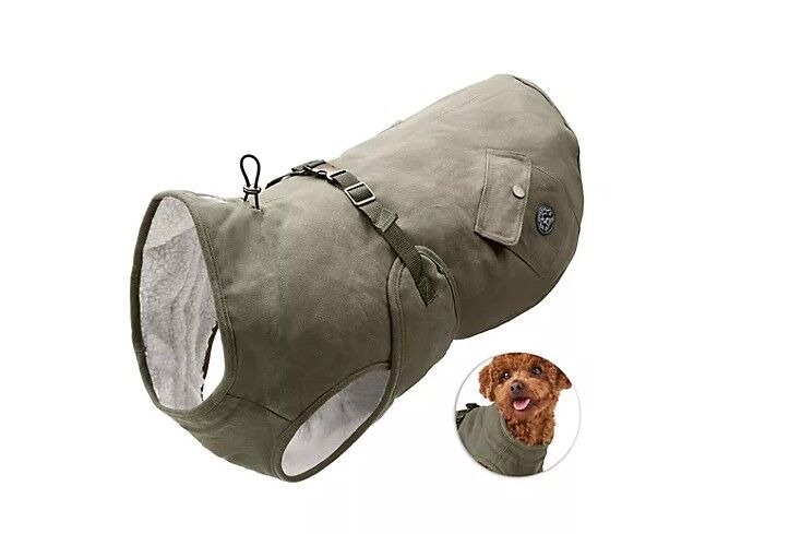 Tier, Hund, Säugetier, Haustier