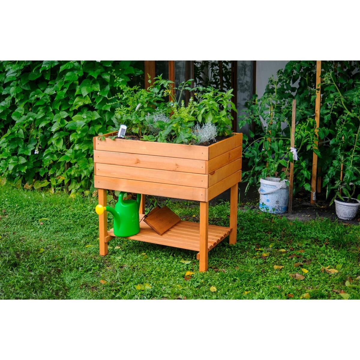 Innenarchitektur, Pflanze im Topf, Pflanzgefäß, Töpferei, Holz