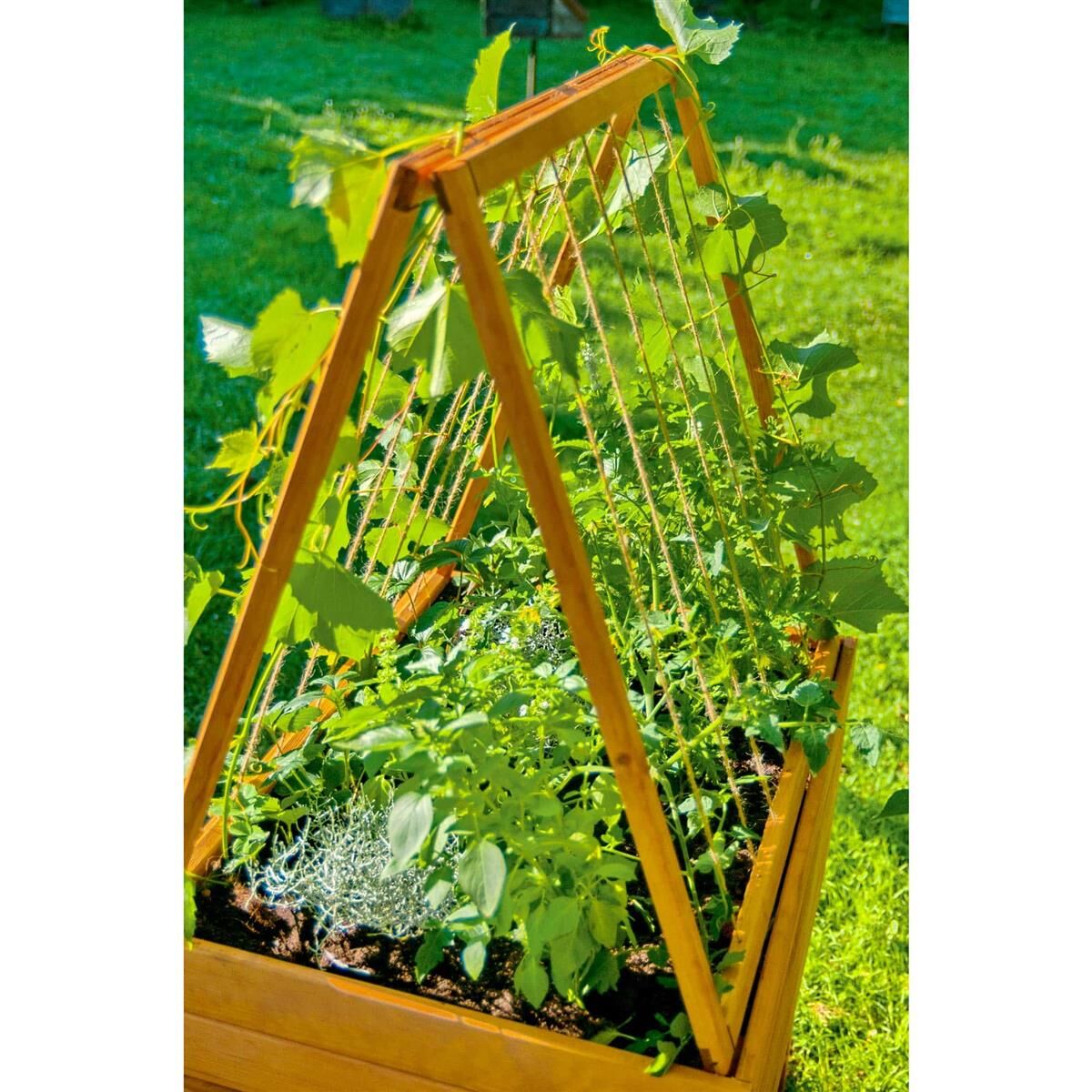 Garten, Topfpflanze, Innenarchitektur, Pflanzgefäß, Gartenarbeit
