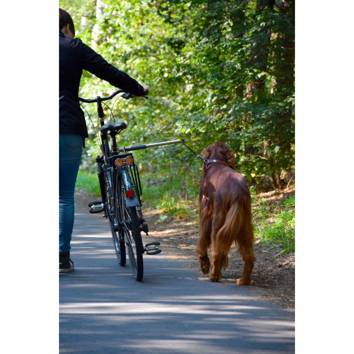 Erwachsener, Männlich, Mann, Person, Hund