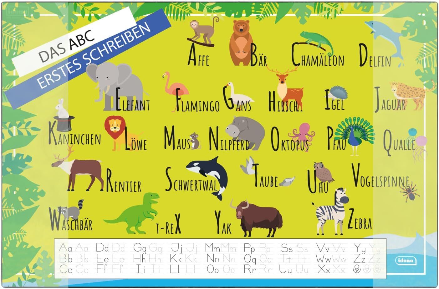 Bär, Tierwelt, Text, Dinosaurier, Pinguin