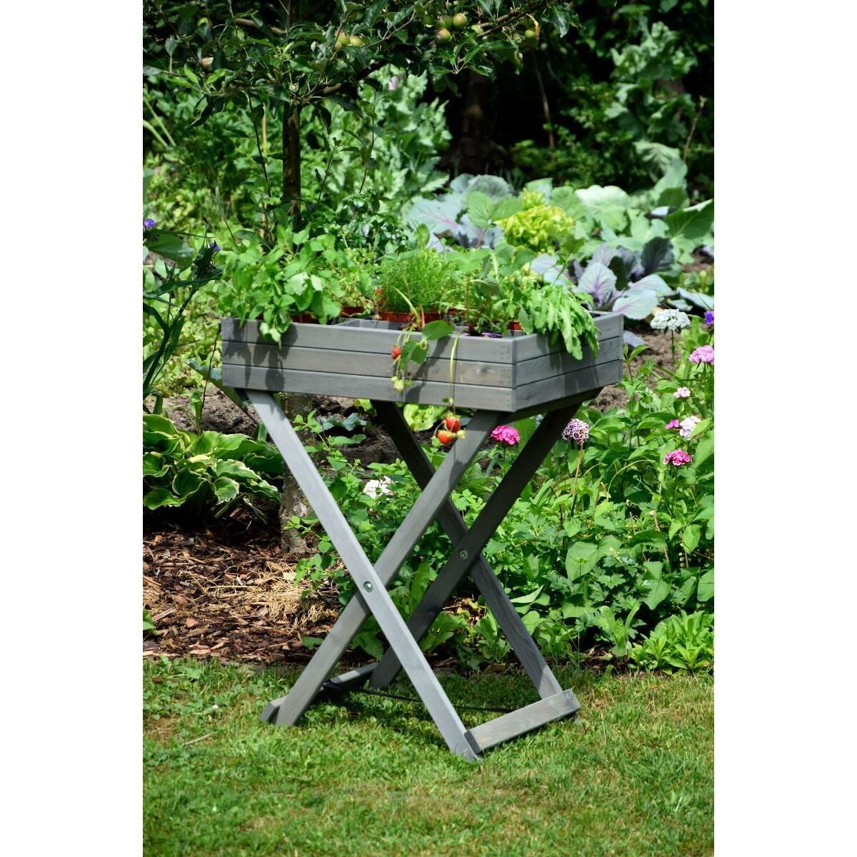 Topfpflanze, Krug, Pflanzgefäß, Töpferei, Garten