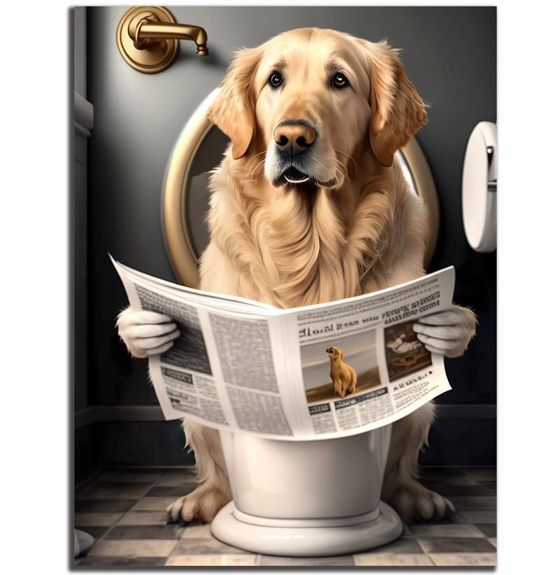 Hund, Säugetier, Haustier, Text