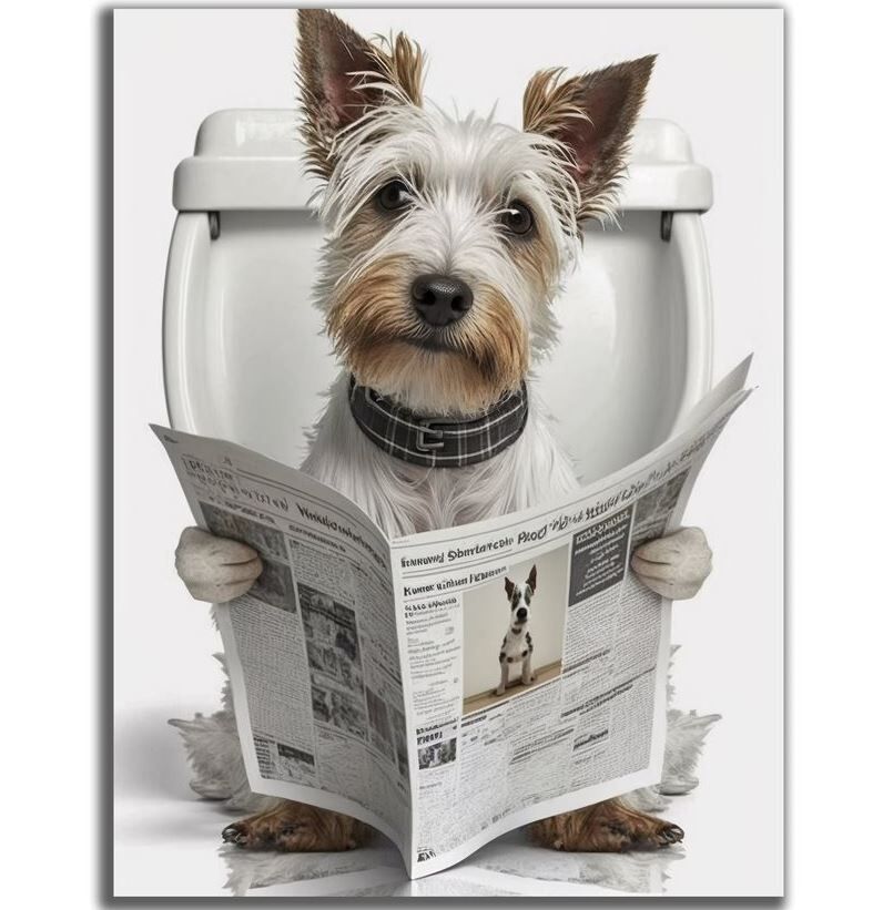 Hund, Säugetier, Haustier, Text