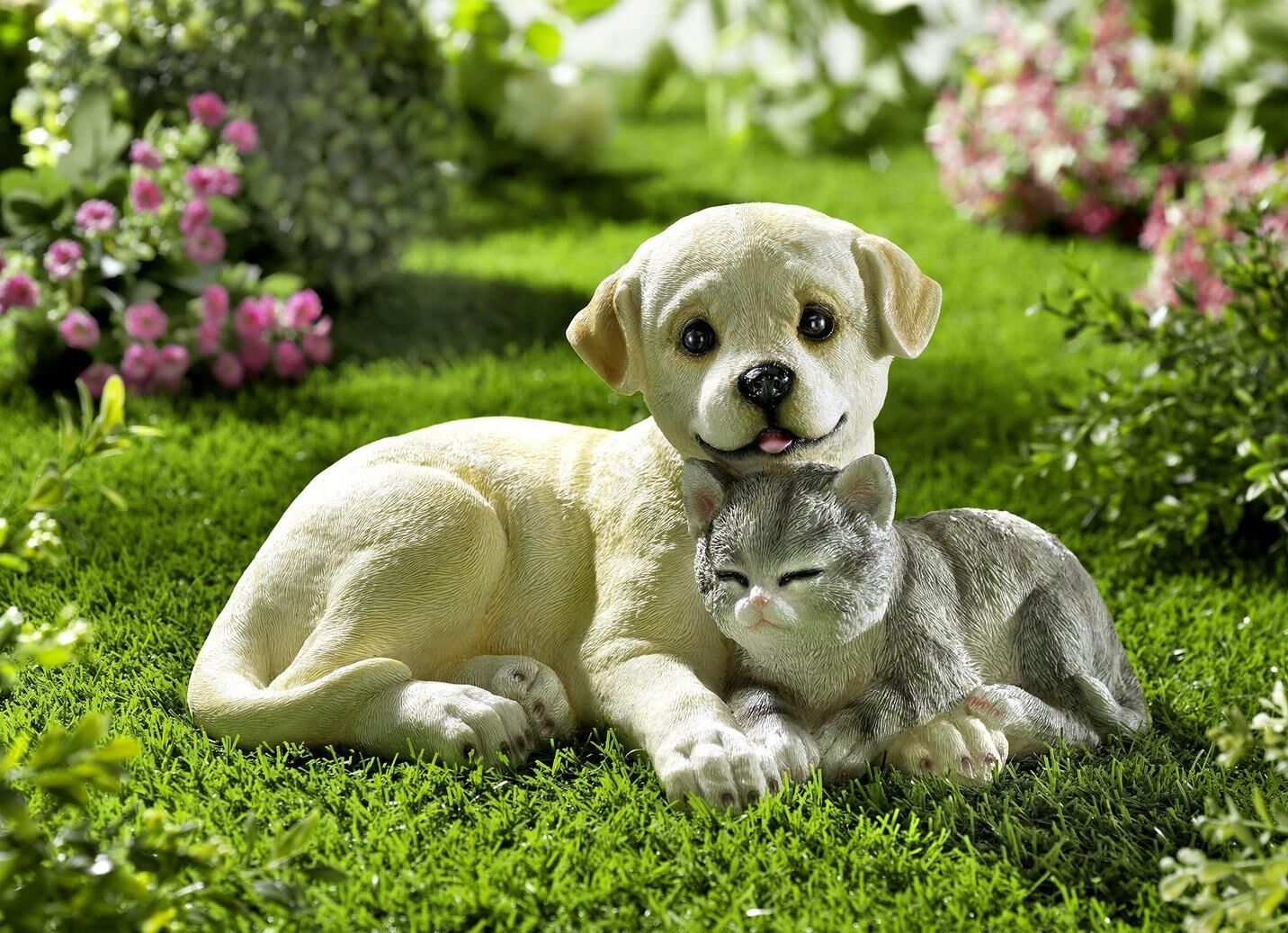 Gras, Welpe, Rasen, Bewuchs, Park