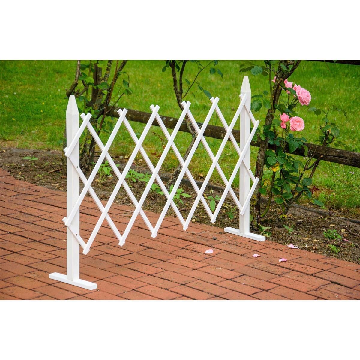 Zaun, Hinterhof, Natur, Draußen, Hof