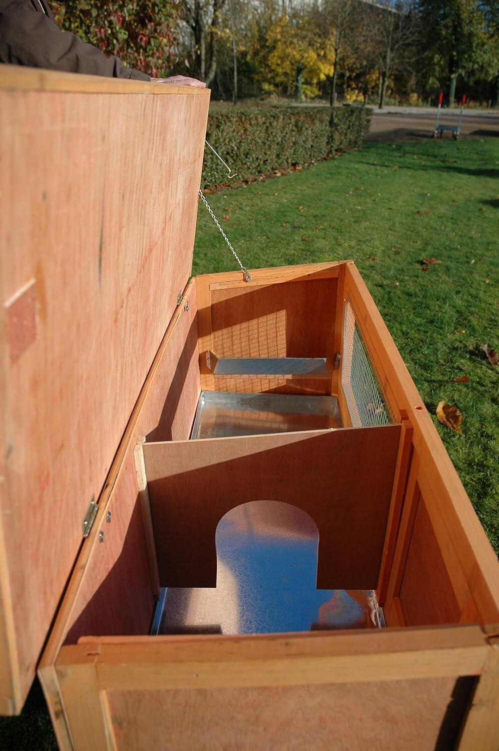 Sperrholz, Holz, Kiste, Gras, Pflanze