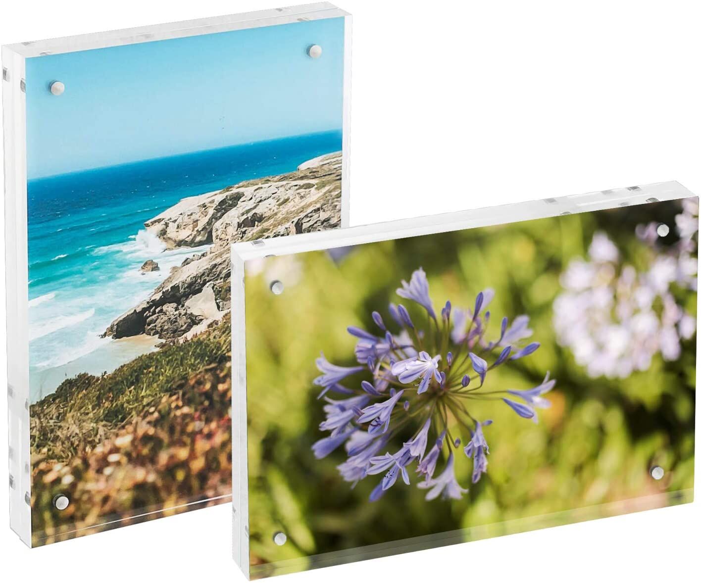 Blume, Pflanze, Rock, Violett, Meer