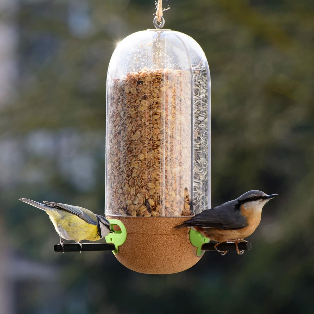 Tier, Vogel, Futterhäuschen für Vögel