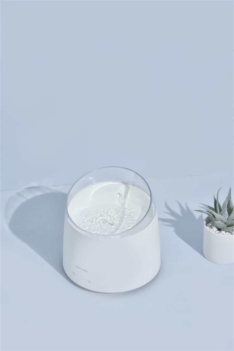 Töpferei, Topfpflanze, Porzellan, Krug, Vase