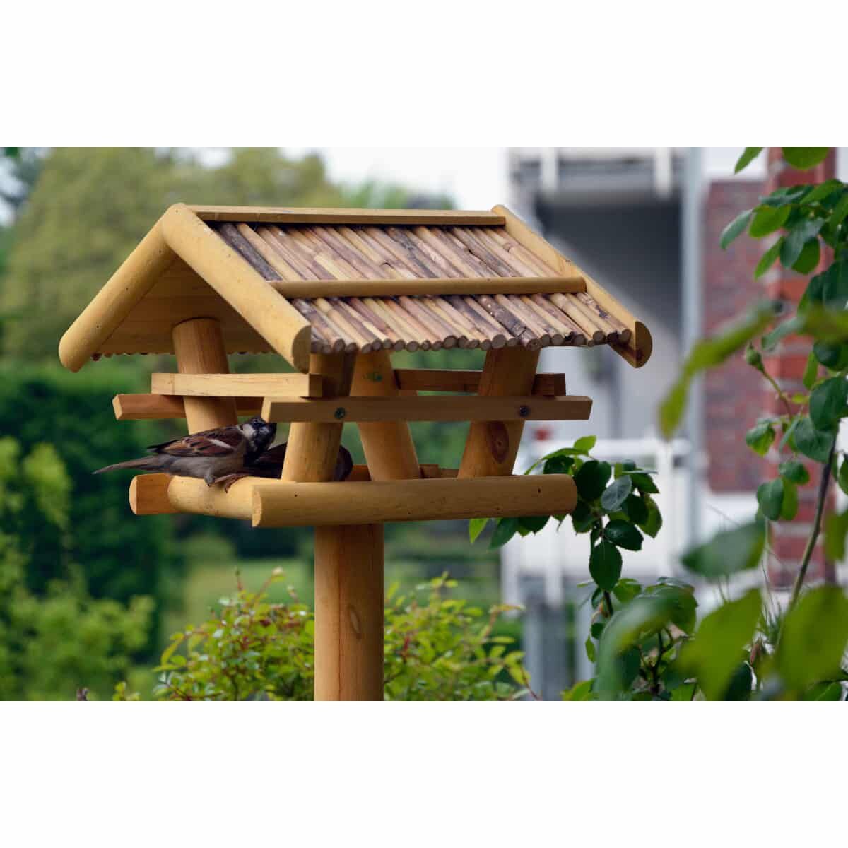 Holz, Futterhäuschen für Vögel