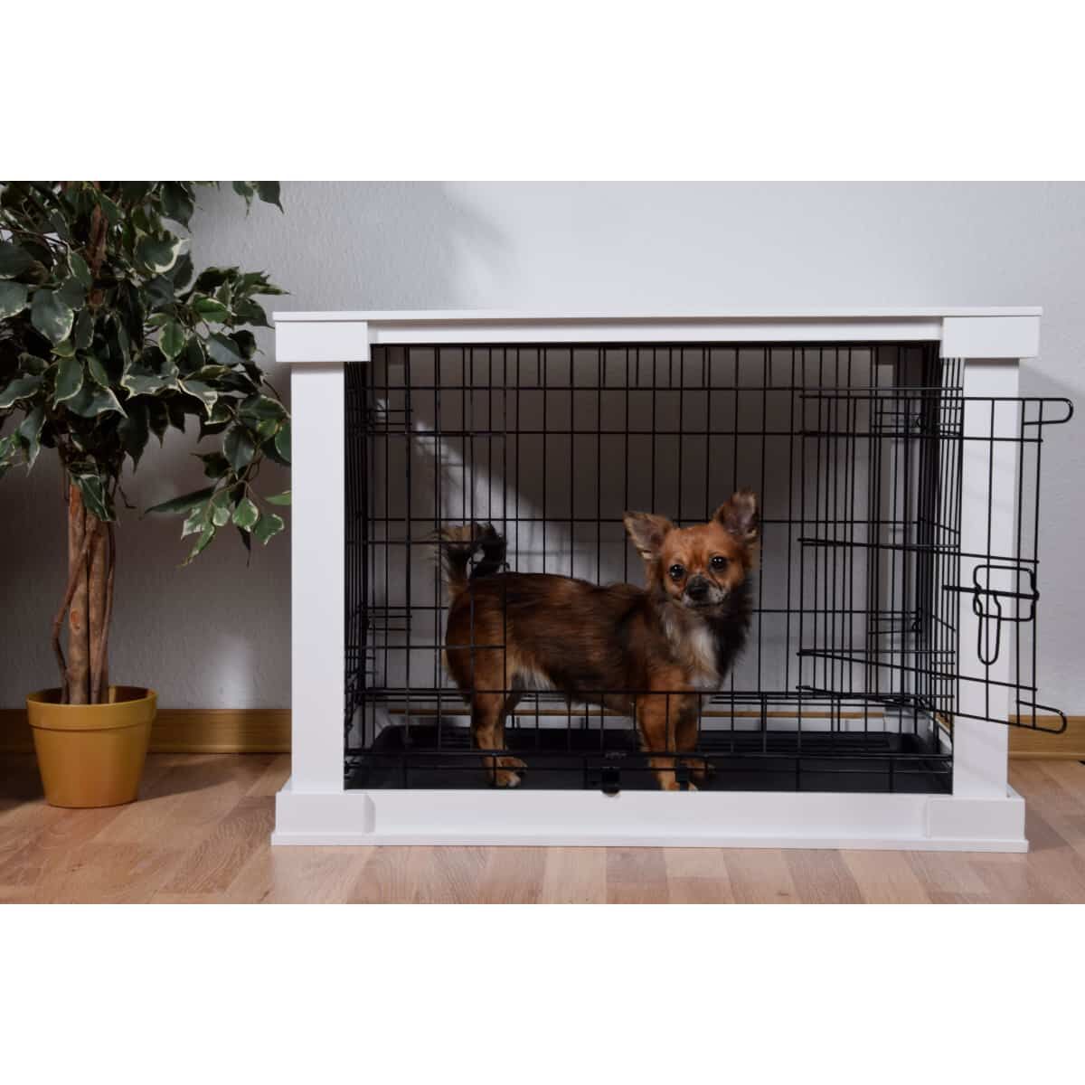 Tier, Hund, Säugetier, Haustier