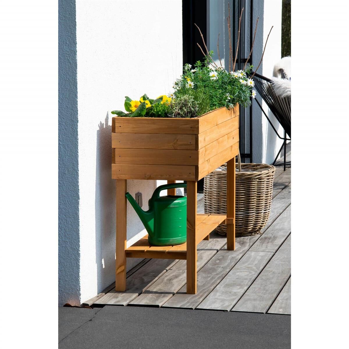 Pflanze, Pflanze im Topf, Innenarchitektur, Pflanzgefäß, Holz