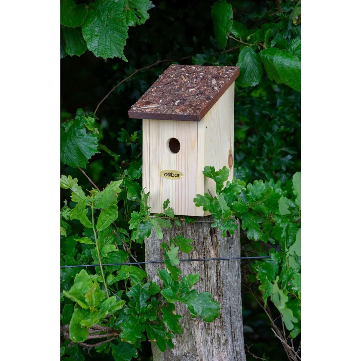Holz, Briefkasten