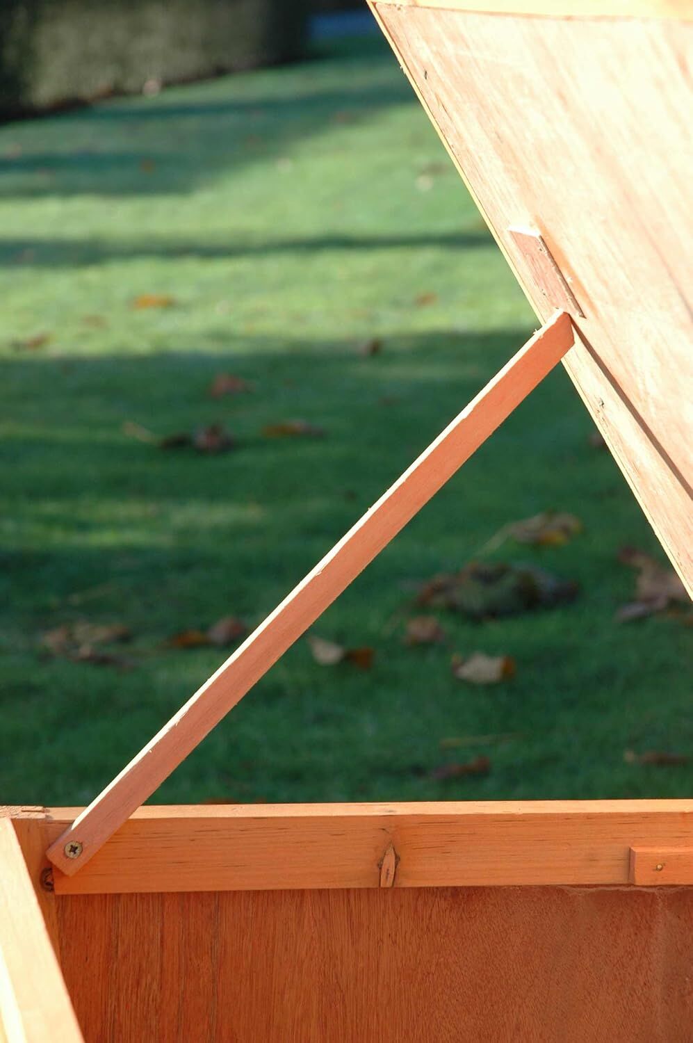 Sperrholz, Holz, Gras, Hartholz, Mobiliar