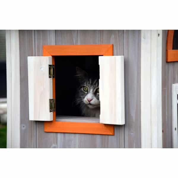 Drinnen, Innenarchitektur, Katze, Säugetier, Haustier