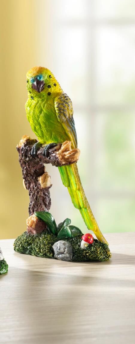 Tier, Schnabel, Vogel, Sittich, Papagei