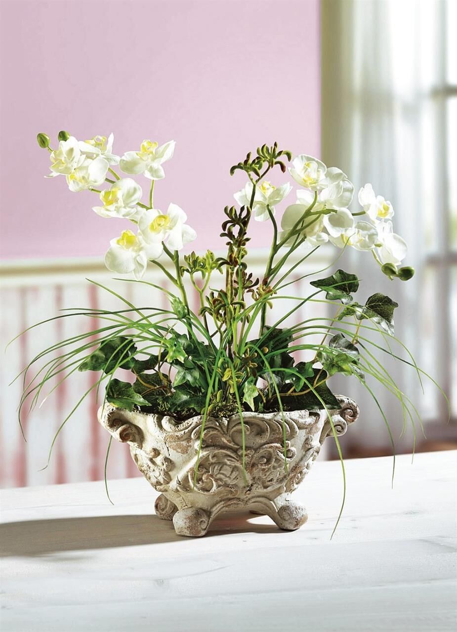 Pflanze, Pflanze im Topf, Blume, Blumen-Arrangement, Ikebana