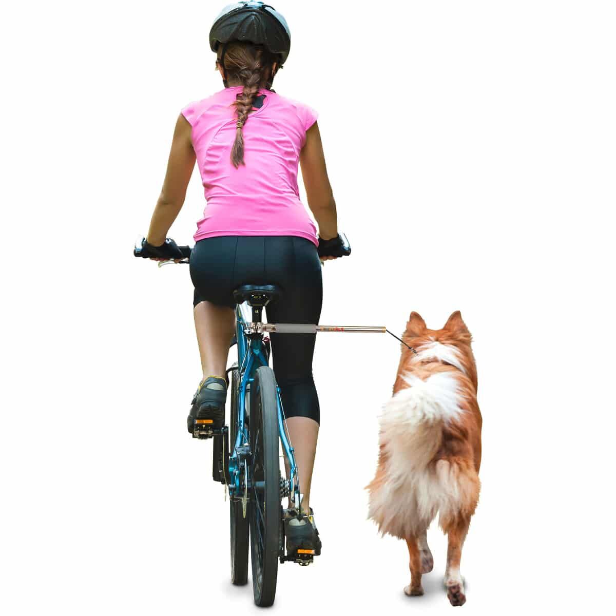 Person, Fahrrad, Helm, Radsport, Hund