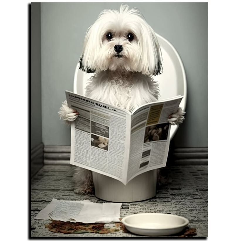 Hund, Haustier, Welpe, Person, Lesen