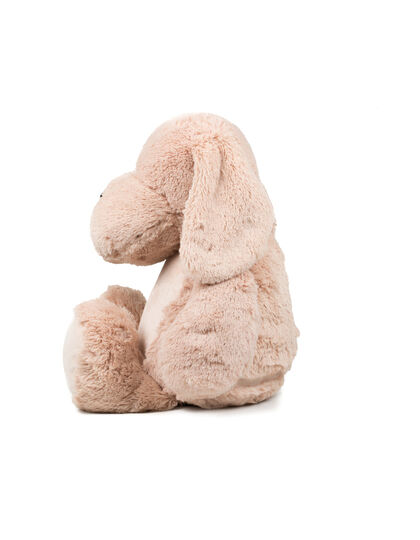 Plüsch, Spielzeug, Teddybär, Dekoration für Zuhause, Kissen