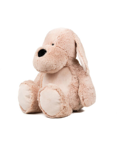 Plüsch, Spielzeug, Teddybär