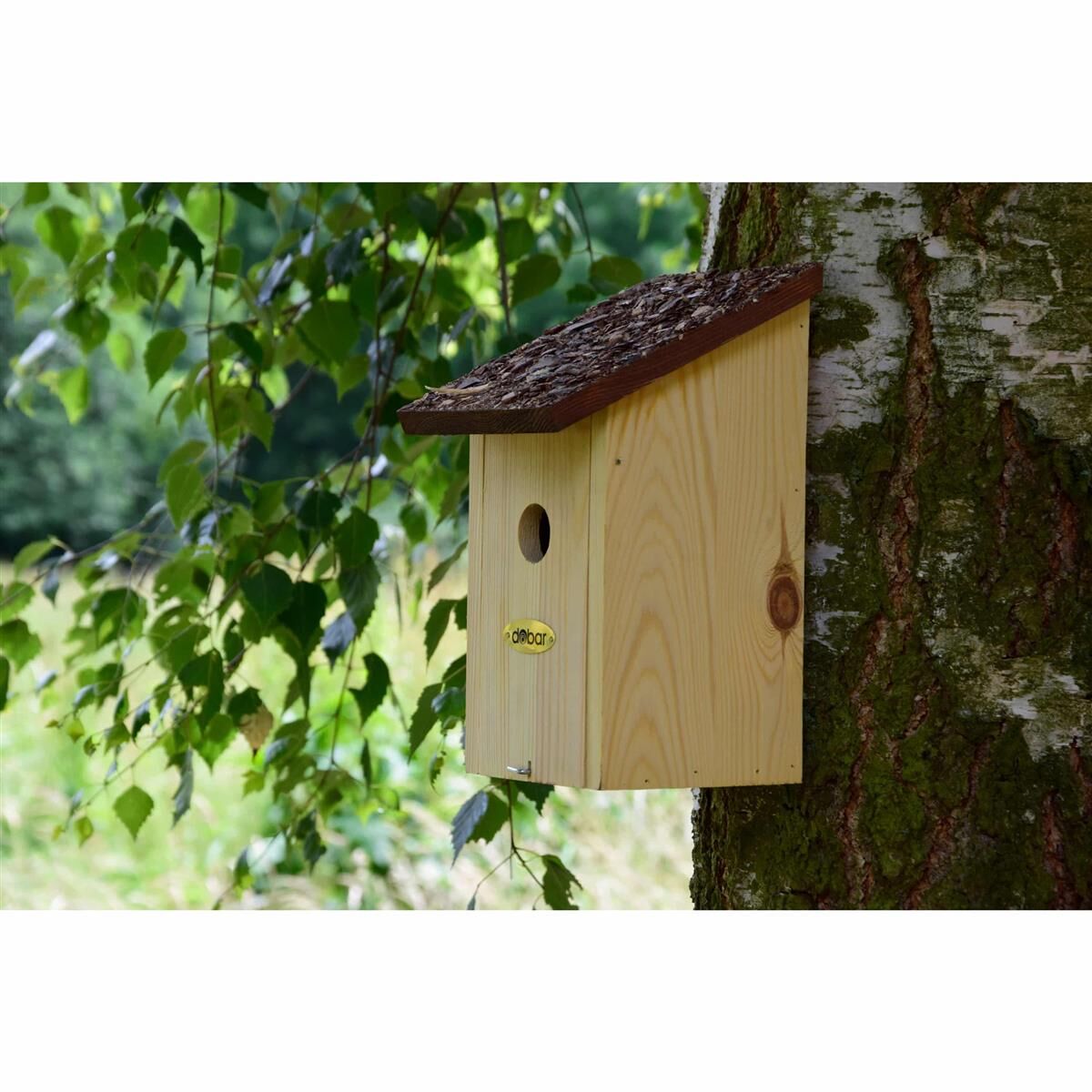 Drinnen, Innenarchitektur, Holz, Briefkasten