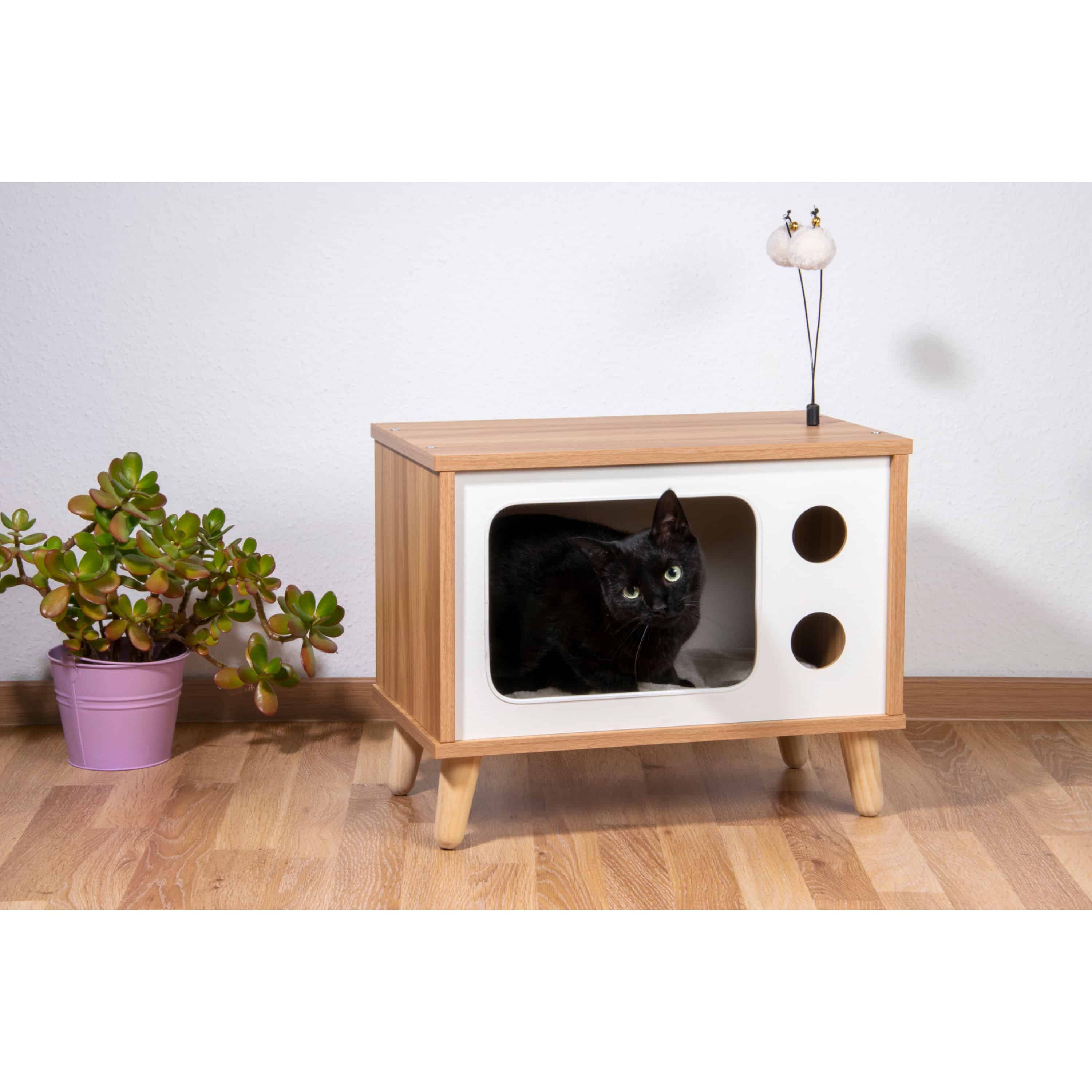 Pflanze, Pflanze im Topf, Pflanzgefäß, Vase, Holz