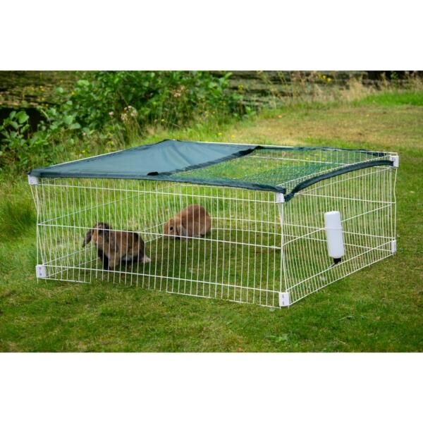 Den, Drinnen, Hund, Hundehütte, Zwinger